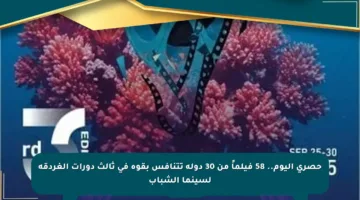 حصري اليوم.. 58 فيلماً من 30 دولة تتنافس بقوة في ثالث دورات الغردقة لسينما الشباب
